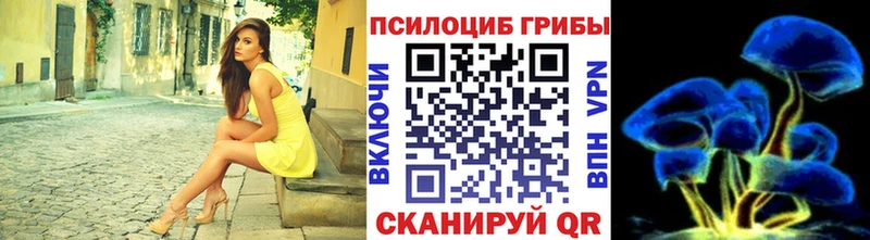 Купить где  Салават  Псилоцибиновые грибы прущие грибы 